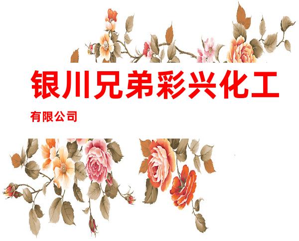 银川兄弟彩兴化工有限公司